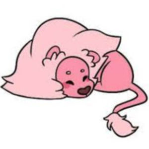 Meet your Posher, Jayda